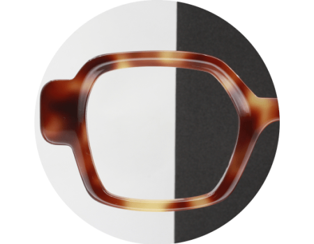 04E - ECAILLE MARRON