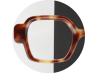 04E - ECAILLE MARRON