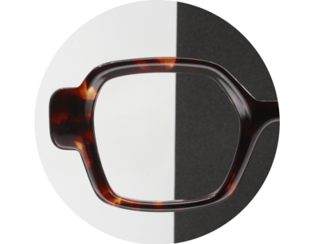 05E - ECAILLE MARRON FONCE